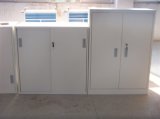 Metal Storage Cabinet with Swinging Door