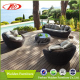 Modern Furniture, Rattan Sofa (DH-5320)