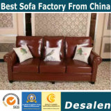 America Leather Sofa, Sectional Sofa, Amazon Sofa (806)