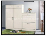 High Gloss Laminate Cabinet for Shoes (SH-01)