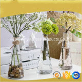 Hot Sale Clear Glass Vase /Home Decoration Flower Glass Vase with Flower