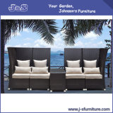 Outdoor Patio Wicker Rattan Sofa Set, Garden Furniture (J410)