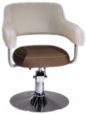Salon Equipment Barber Chair Beauty Supplies (A006)