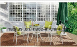 Outdoor /Rattan / Garden / Patio/ Hotel Furniture Rattan Chair & Table Set (HS 1023C&HS6210DT)
