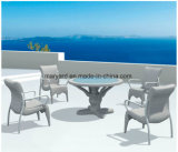 Outdoor Synthetic Rattan Dining Table and Chair Furniture
