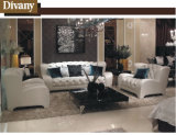 Divany Modern Living Room Furniture Leather Sofa