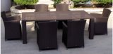 Garden Patio Wicker / Rattan Furniture Dining Set (LN-045)