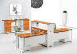Modern Style Premium Staff Partition Workstations Office Desk (PZ-003)