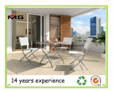 Folding Garden Chairs/ Outdoor Folding Dining Chairs