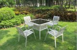 Professional Supplies Patio Furniture Rattan Wicker Dining Set (DS-15583)