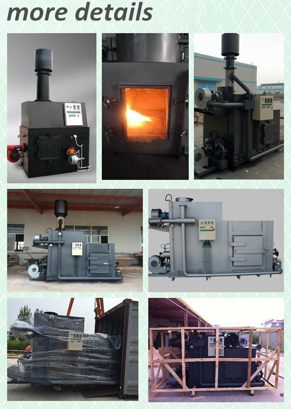 New Designed Easy Operated Medical Waste Incinerator