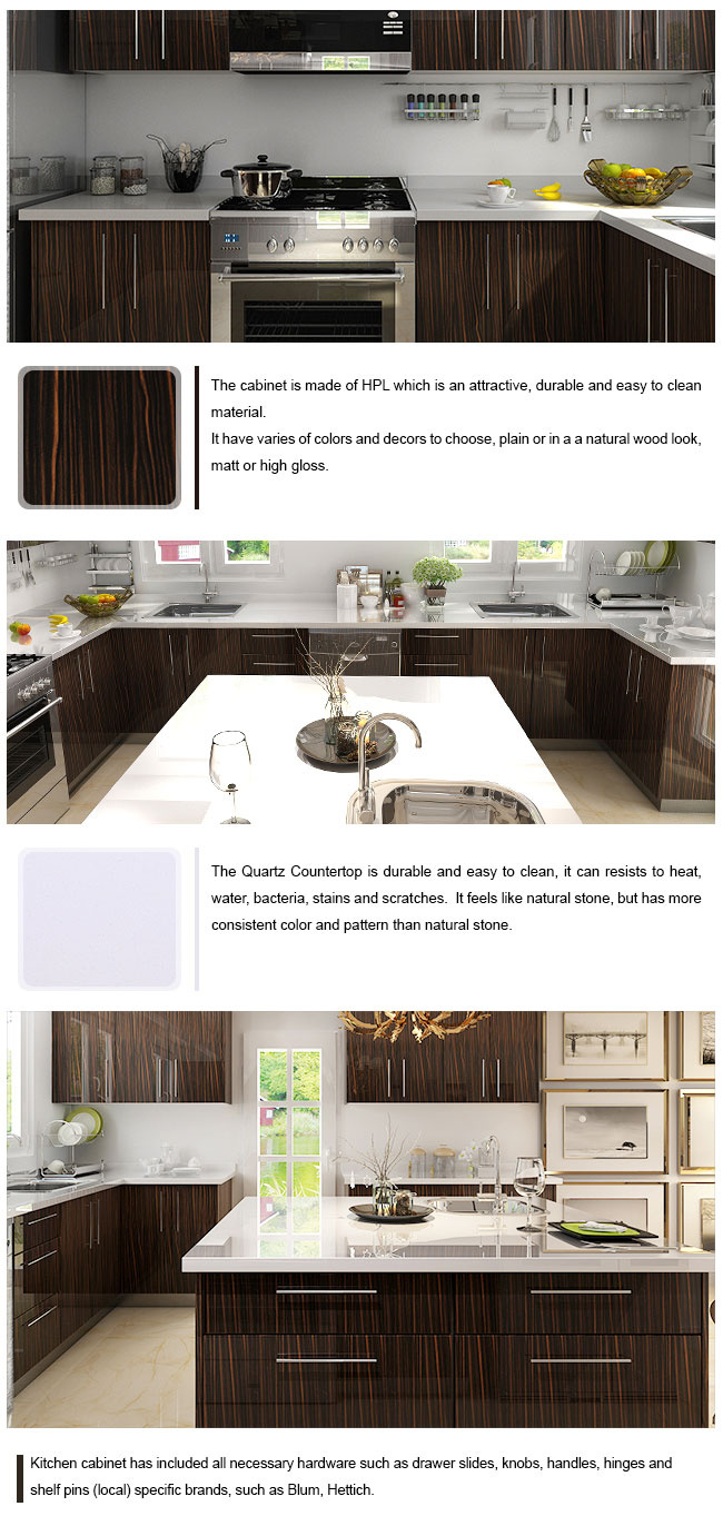 Guangzhou Manufacturer Wood Veneer HPL Wholesale Modular Kitchen