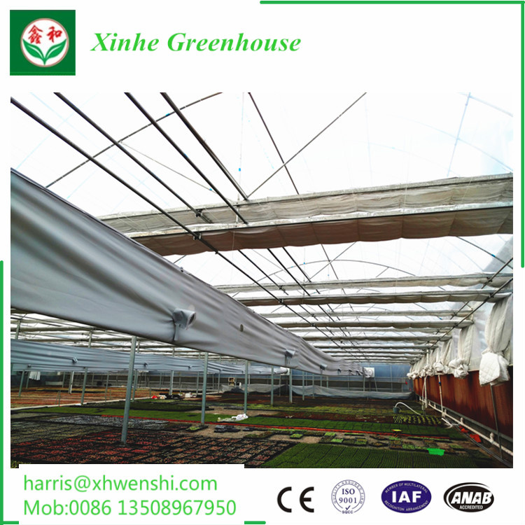 Venlo Type Polycarbonate Greenhouse for Morden Agriculture Planting