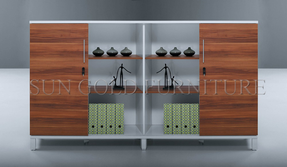 Office Furniture Modern Design File /Book Cabinet Designs (SZ-FCT612)