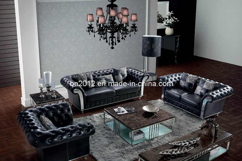 Top Grain Leather (SBO-2739)