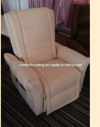 Lift Recline Chair with Massage Function