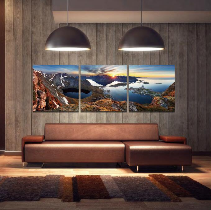 Home Decor Hotel Wall Art DIY Modern Peacock Painting