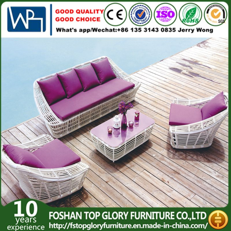 Outdoor Rattan Furniture Leisure Sofa (TG-003)