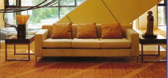 Hospitality Sofa/Hotel Living Room Sofa/Modern Sofa for 5 Star Hotel (JNS-033)