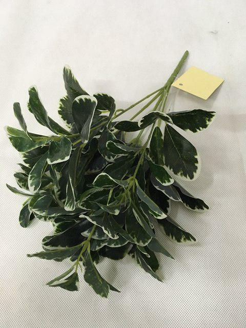 PE Black Olive Artificial Plant for Home Decoration (50105)