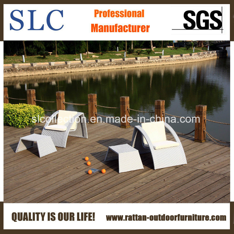 Rattan Sofa Set, Rattan Table (SC-B8879)
