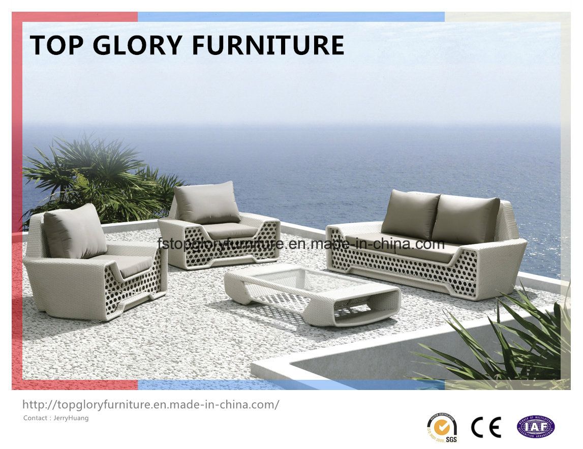 New Garden Patio Wicker / Rattan Sofa Furniture (TG-022)