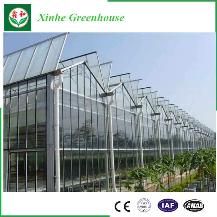 Turn-Key Greenhouse Xinhe Greenhouse