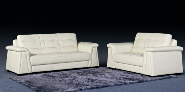 Modern Sofa Design with Genuine Leather Couches