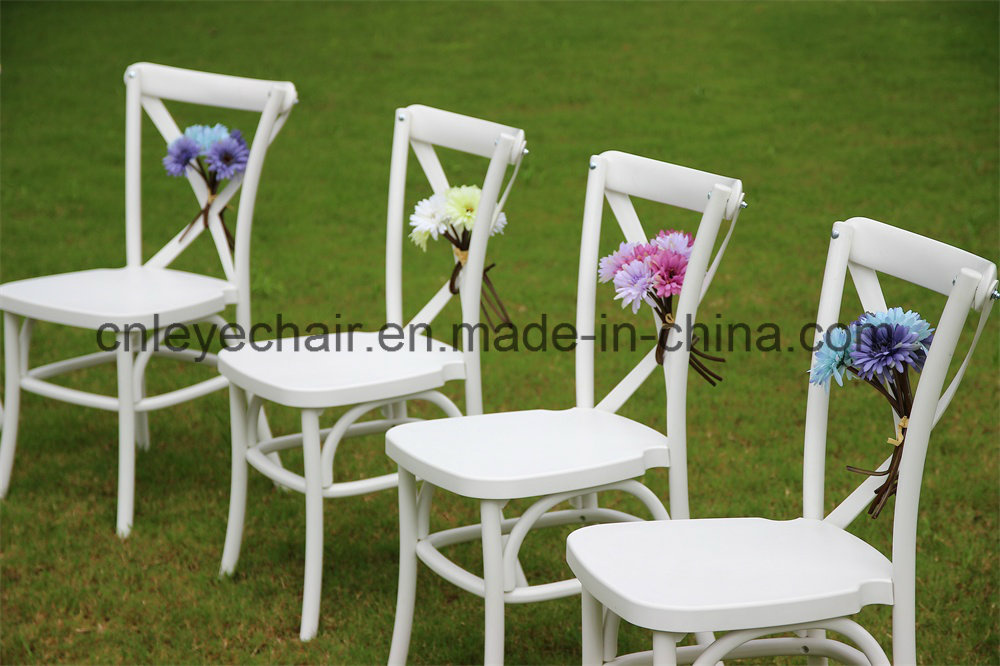 Strong Plastic X Back Dining Chair