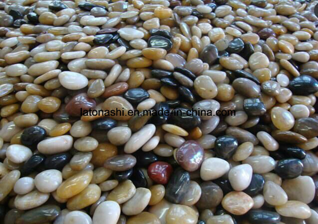 Colorful Natural River Cobble & Pebble Stone for Landscape / Garden Paving