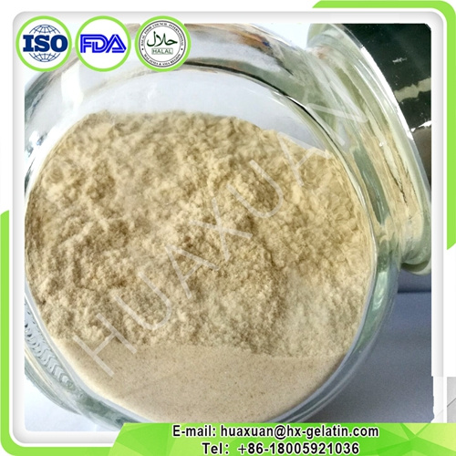 Made-in-China Hot Sale Citrus Pectin Powder
