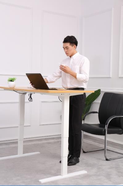 Ergonomic Office Electric Adjustable Desk-Best Choice for Your Office Furniture