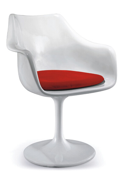 Fashion ABS Plastic Outdoor Leisure Chair (SZ-ABS533)