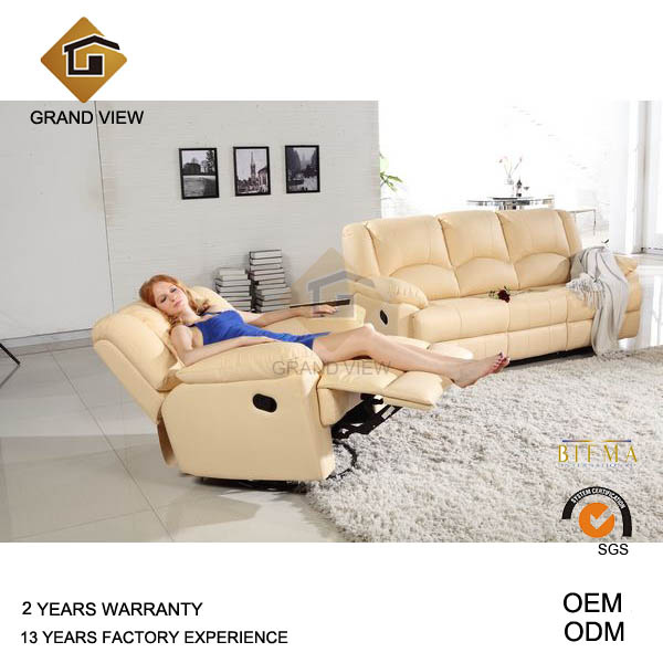 Classical Furniture Leather Living Room Sofa (GV-RS495)