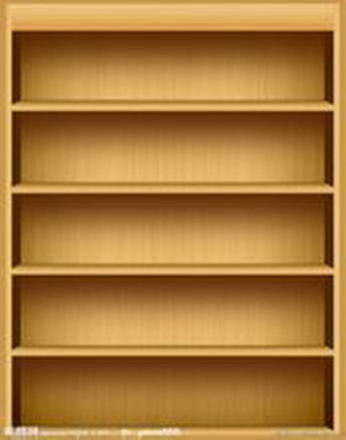 Wood Panel Shelf Book Shelf