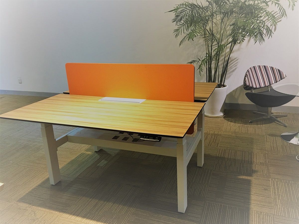 Super Cost Effective Sitting & Standing Height Adjustable Lift Table (PS-LD-DD-12)