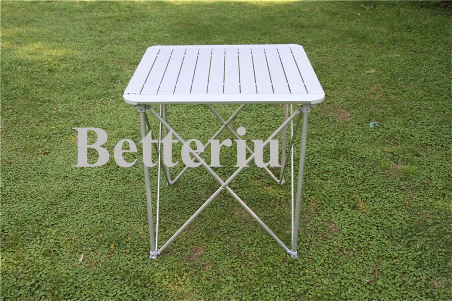 Aluminum Roll up Table in a Carry Bag