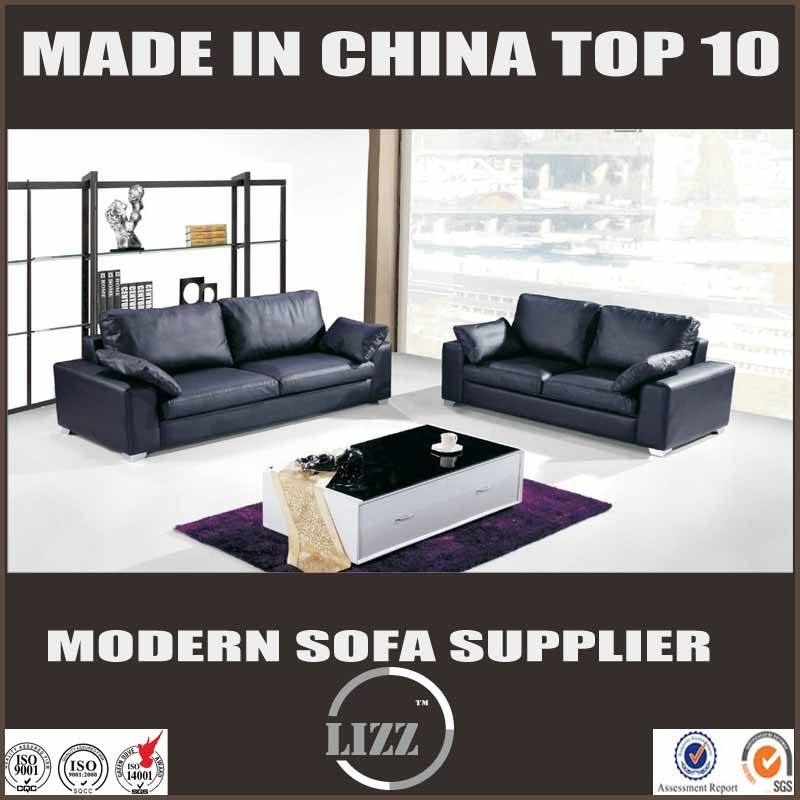 Home Furniture Leisure Sofa Lz369