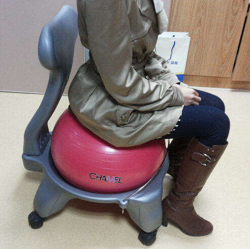Balance Ball Chair
