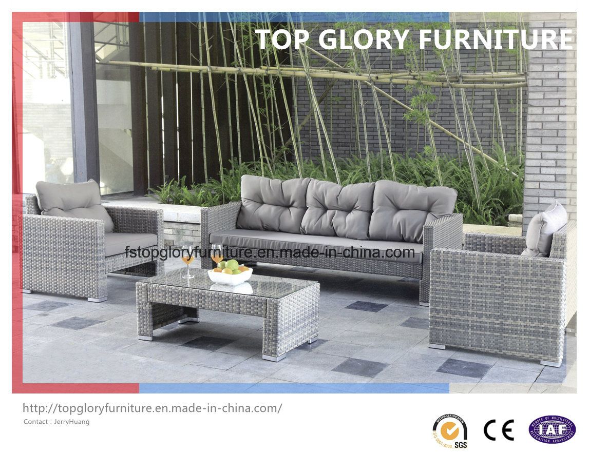 New Design Outdoor/Patio Furniture Sofa Set (TG-027)