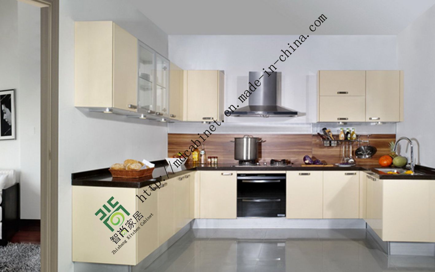 Birch Wood Kitchen Cabinet with Acrylic Insert (zs-217)