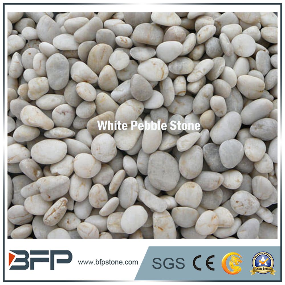 White High Polished Natural Cobble &Pebble Stone