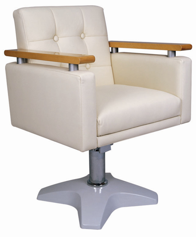 Beauty Salon Furniture Package Stable Barber Chairs (DN. A6022)