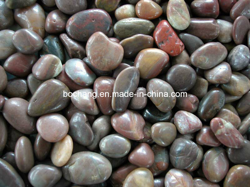 Multiple Colors Pebble Stone for Garden Decoration
