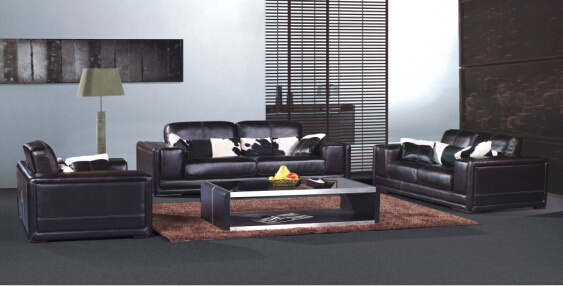 Modern Leather Sofa with Genuine Leather Couches