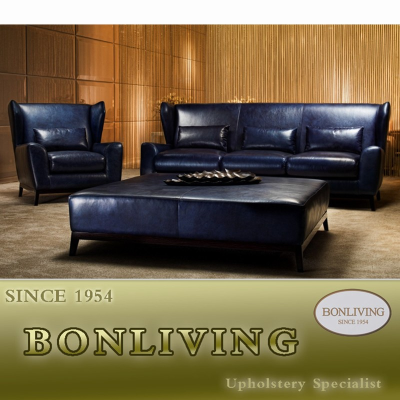 Modern Top Grain Leather Sofa (C12)