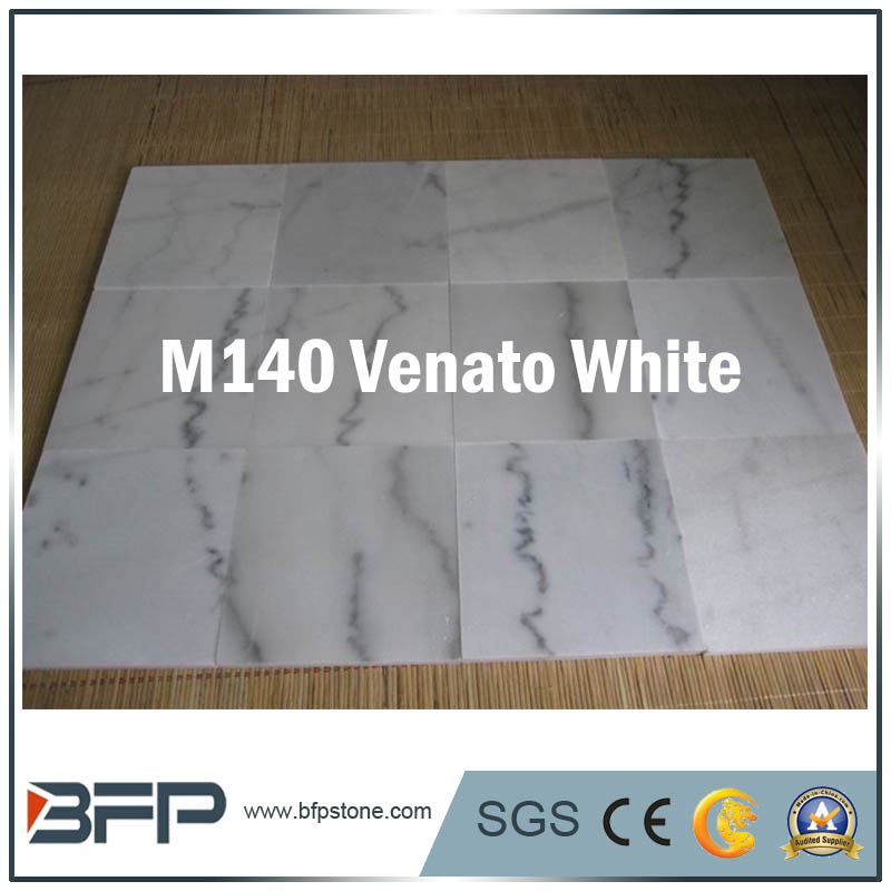 Elegant White Marble Stone for Tiles/Wall Cladding/Vanity Top