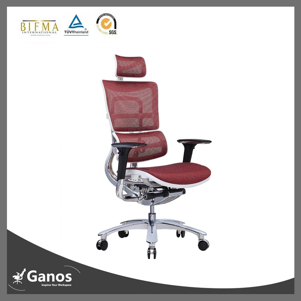 Modern Ergonomically Luxury Office Leather Chair (Jns801)