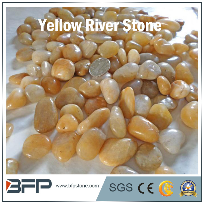 Polished River Stone Yellow Pebble Cobble Stone for Decoration, Construction, Landscape