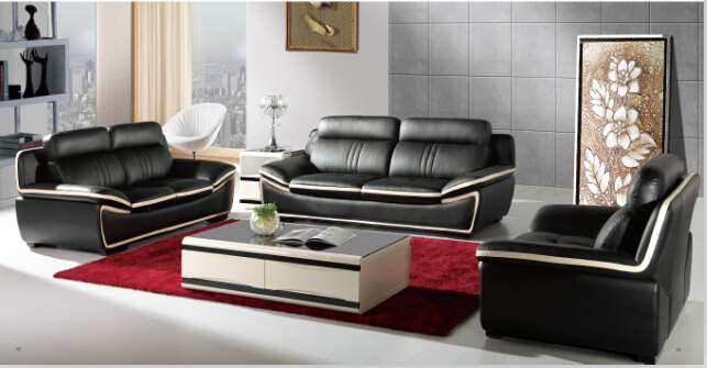 Modern Leather Sofa with Genuine Leather Sofa